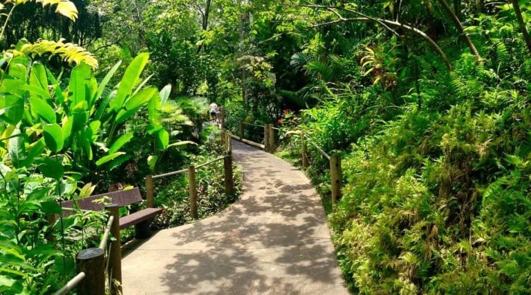 htbg, hawaii tropical botanical gardens, big island, botanical garden