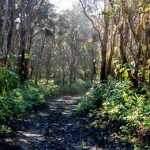 volcano village roads