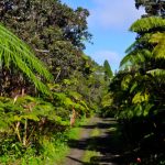 Volcano Village roads