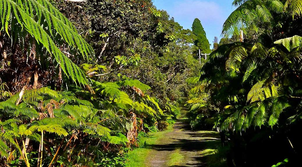 volcano village road