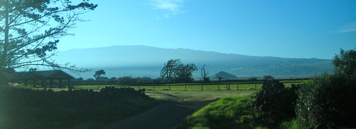 waimea