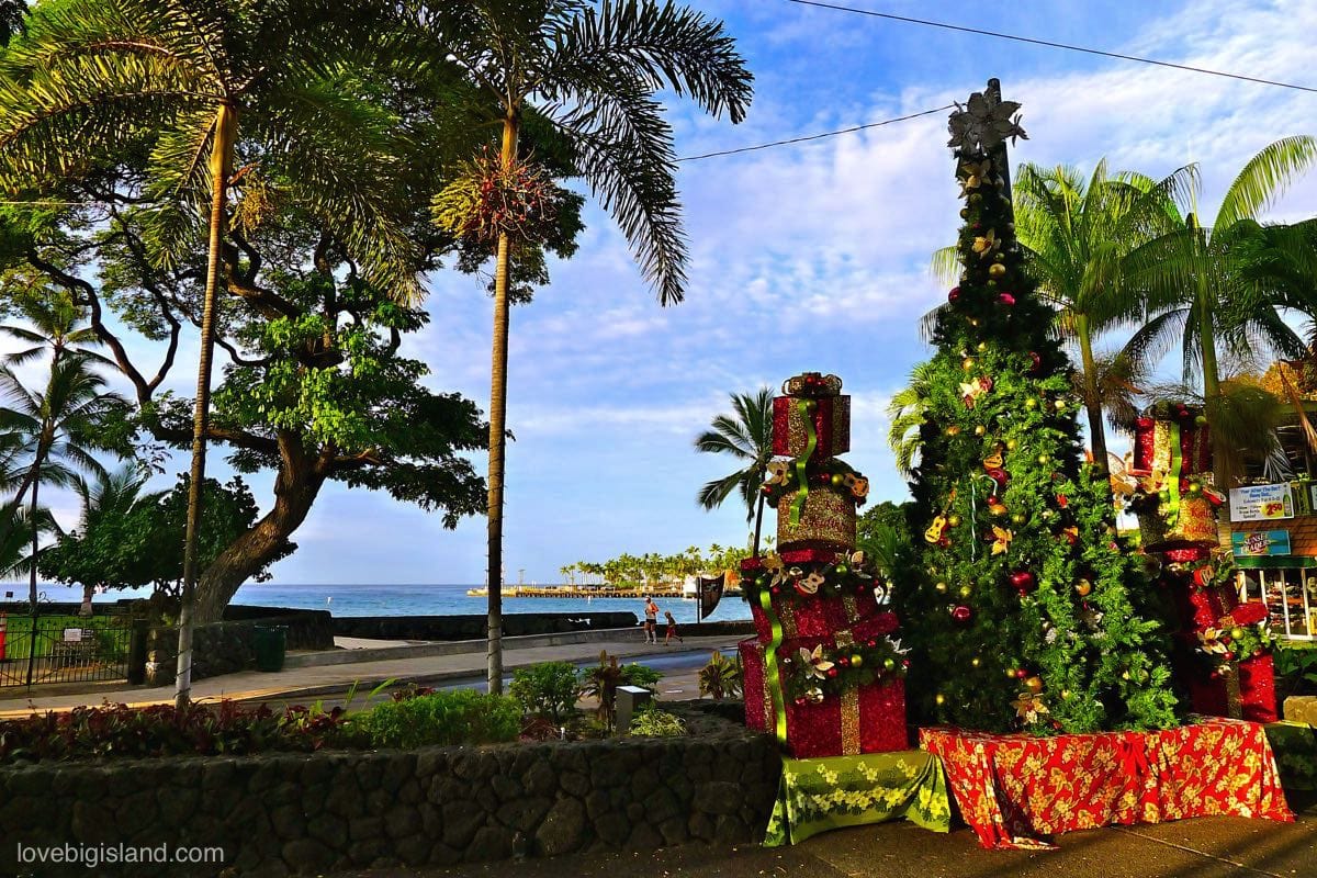 Christmas in Kona [picture] Big Island Hawaii