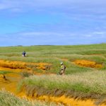 Biking along green sand beach