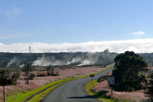 Sunrise at the steam vents in Hawaii Volcanoes National Park