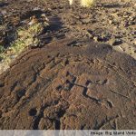 petroglyphs-hawaii