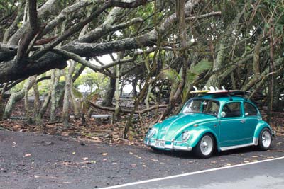 Isaac Hale Beach Park in Puna on the Big Island