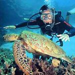 scuba_diving