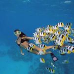 snorkeling