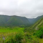 Waipio valley as seen from the west side of the valley