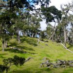 The Hualalai Volcano offers many serene hikes