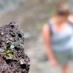Olivine crystals that condensate in the lava as it cools are responsible for the green color of the sand on green sand beach. You literally walk on small round green crystals
