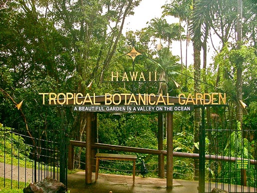 Free Admission Botanical Garden Big Island Free Admission Botanical Garden Big Island