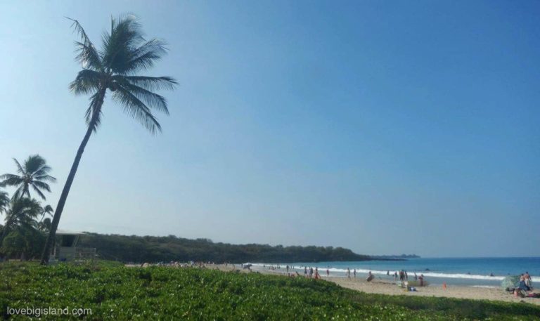 There is little shelter from the sun at the long white sand beach at Hapuna bay.