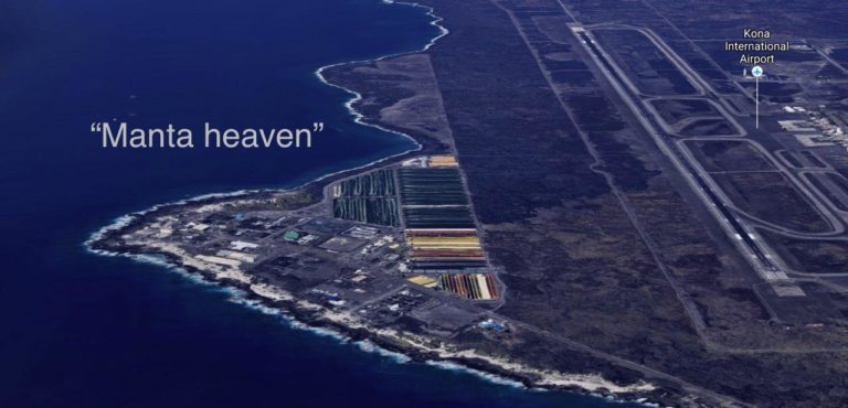 location of dive site called manta heaven on the big island, manta rays