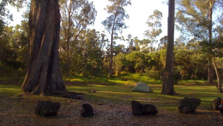 Namakanipaio Campsite in Hawaii Volcanoes National Park
