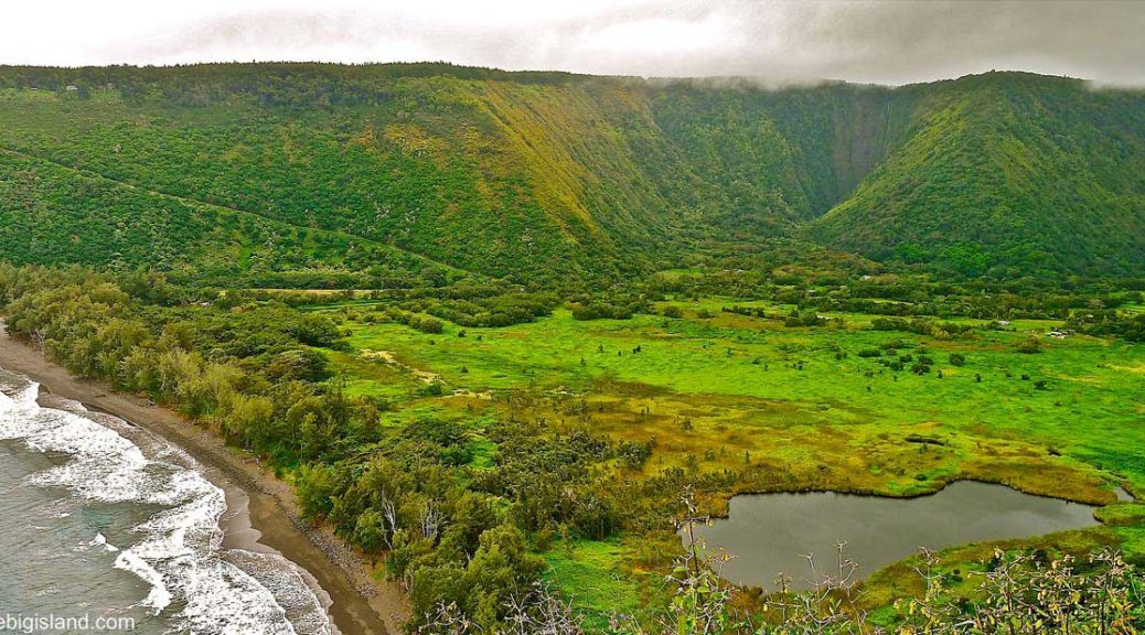 Waipio valley