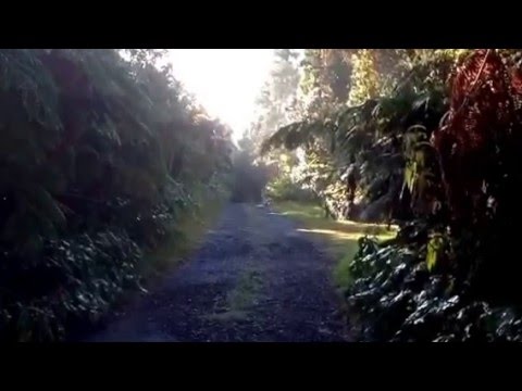 Volcano Village Sunrise