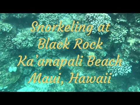 Snorkeling at Black Rock Kaanapali Beach Maui Hawaii