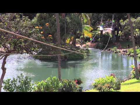 Maui Zipline at the Maui Tropical Plantation