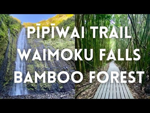 Pīpīwai Trail - Waimoku Falls - Bamboo Forest - Maui - Hawaii - Road to Hana 4K