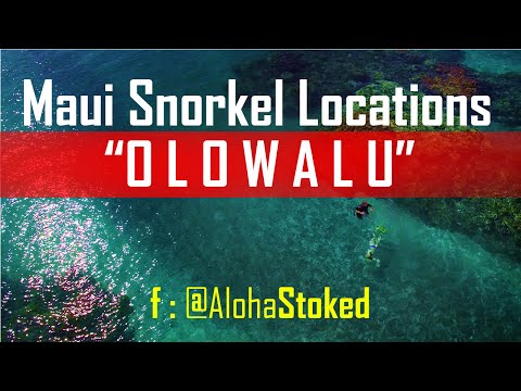 Maui Snorkel Locations : Olowalu