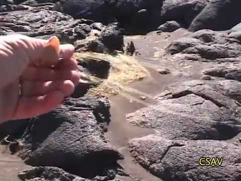 CSAV Hawaii: Pele&#039;s Hair (Volcanic Glass)