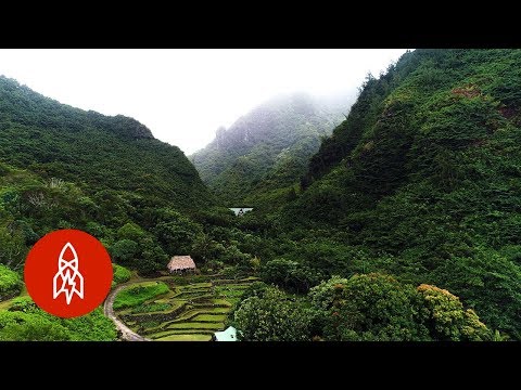 Explore the Valley Protecting Hawaii’s Ancient Plants