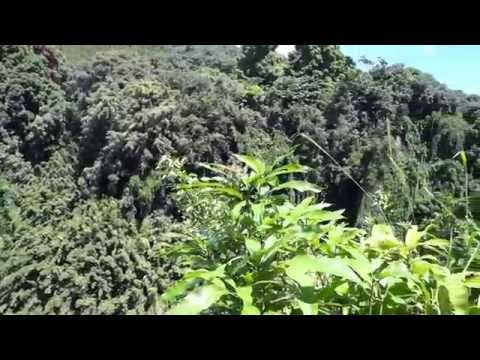 Maui: Makahiku Falls