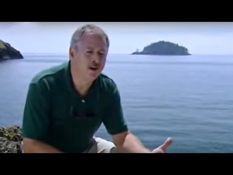Mega Tsunami | Hawaii | The Tsunami Creator? | BBC Studios