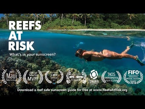 Reefs At Risk - Hawaii bans sunscreens with oxybenzone