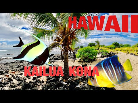 Kailua Kona | Old Airport Beach Park | Big Island Hawaii
