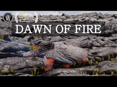 Dawn of Fire - Mesmerizing Hawaii Lava Timelapse 4K
