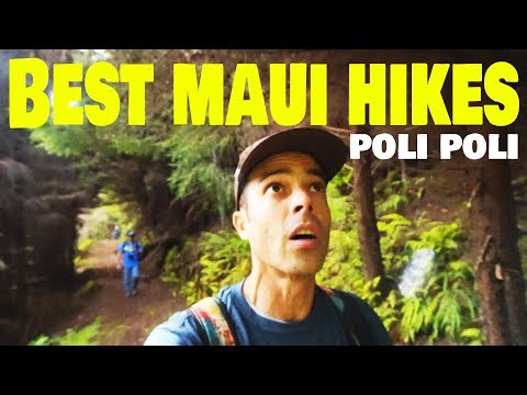 Maui Travel Guide | Poli Poli Maui, Hawaii