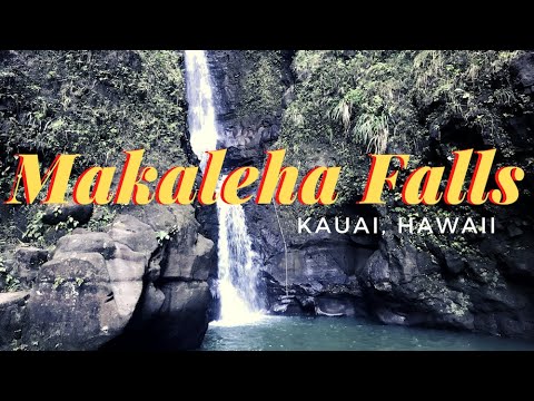 Hiking Kauai | Makaleha Falls - Jungle Adventure up a Stream