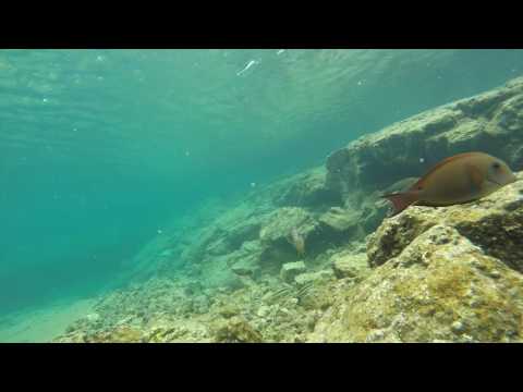 Kapoho Tidepools