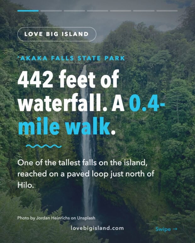 Akaka Falls State Park