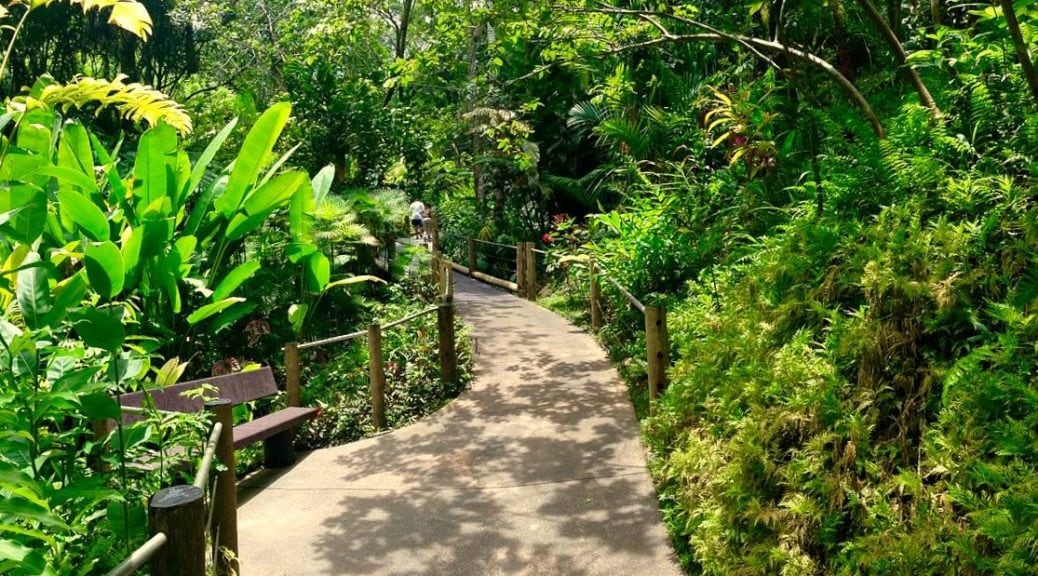 Botanical World Adventures Big Island Zip Line Segway