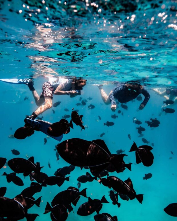 2 boys snorkeling with fish