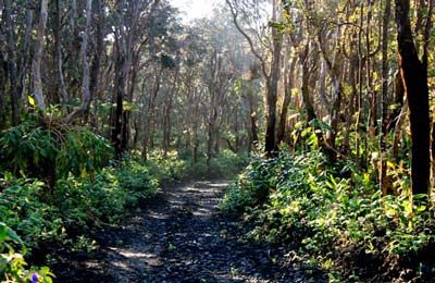 volcano village roads