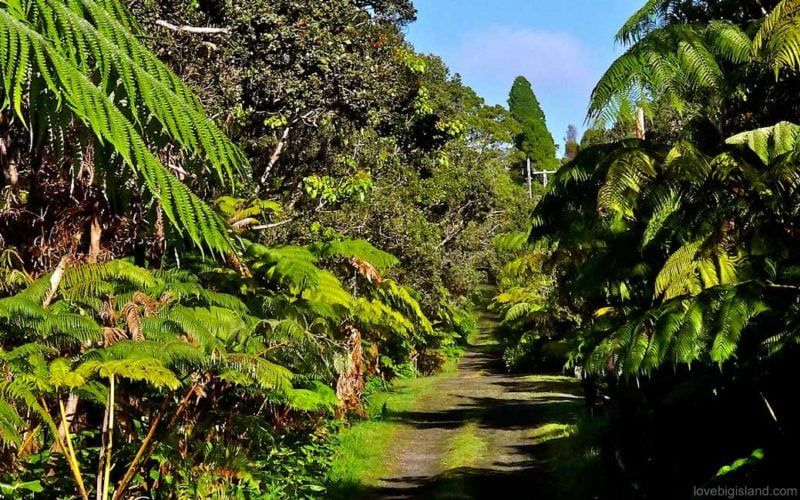 volcano village road