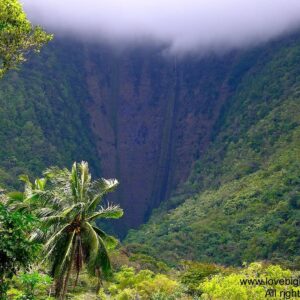 The back of the closest valley of Waipi'o valley