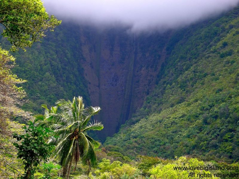 The back of the closest valley of Waipi'o valley