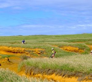 Biking along green sand beach