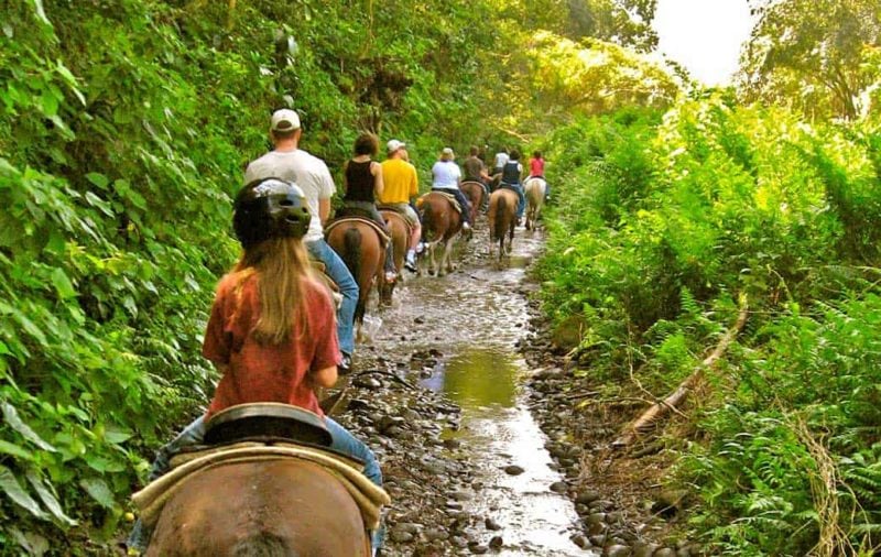 horseback riding in Waipi'o valley