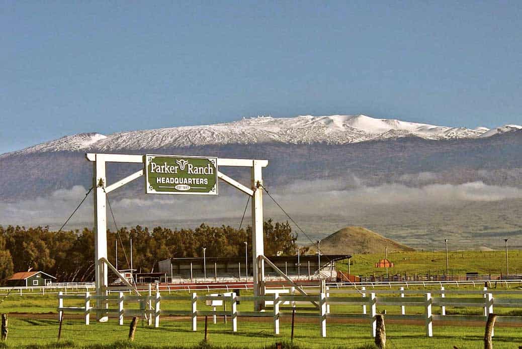 Parker Ranch (waimea) Free Guided Hikes, the 4th of July Rodeo, Tours
