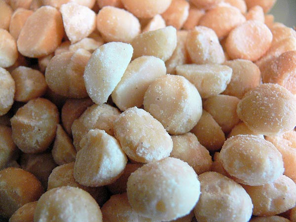 Salted macadamia nuts