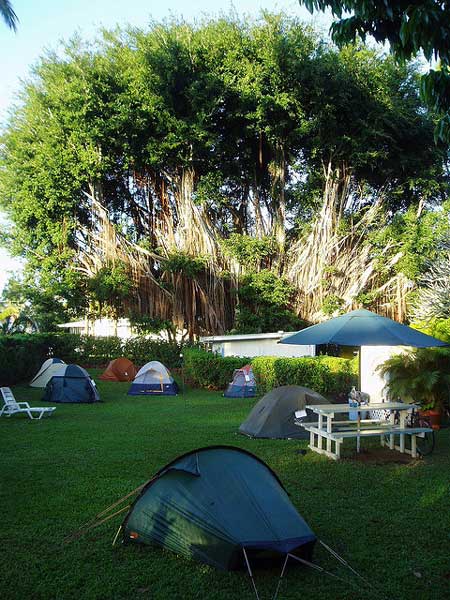 Arnotts lodge campsite