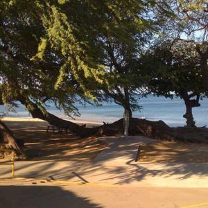 spencer beach park