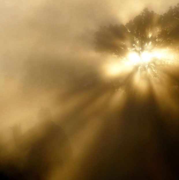 Steam vents in the HVNP