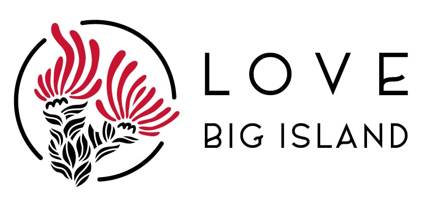 Love Big Island logo